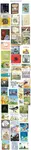 Picture Books, High-Quality.jpg