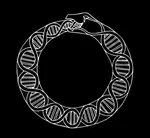 ouroboros DNA.png