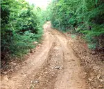 unpaved road1.png