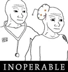 ae3om344324.jpeg