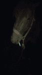 1671820551939208.webm