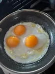 r3wt3jrd9dq.jpg
