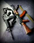 elibi05bssi.jpg