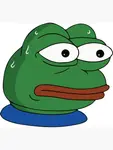 images (21).jpeg