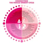 Female+energy+cycle.png