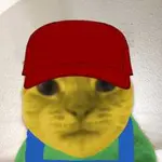 8sphmjuu5qy.jpg