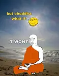 g79cxpcjh8m.jpg