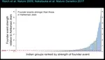 Screenshot 2025-05-11 233929.png
