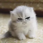 ymrz0mzataf.jpg