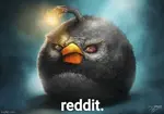 r9ufy21nn2.jpg