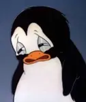 r8pt37jaxe.jpeg