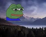 images.jpeg