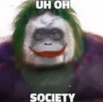 images (79).jpeg