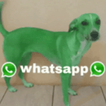 SPOILER_video0-201.mp4