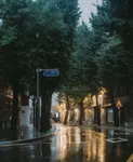 mqu7eux4k2a.jpeg