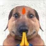 zm7h1l10wm7.jpg