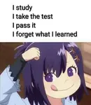 wptydp6qkg.jpg