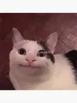gsmqhg690tg.png