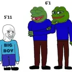 2nhb084c.png