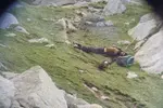 jm0ugr9s73.jpg