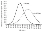 IQ_Bladk_White.jpg