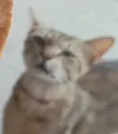 5avtanowwc2.jpeg