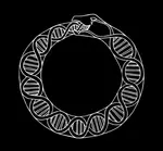 ouroboros dna.jpg