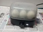 eggz.jpg