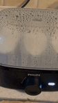 vid.mp4