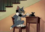 Tom-2.jpeg