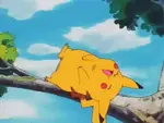 1ad2acbczpv.gif