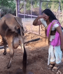 yaar.mp4