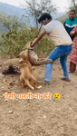 5xfr7gbtyr3.mp4
