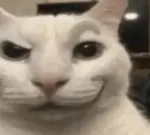 ajygjvs7gvn.png