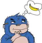 qnr41rtkash.png