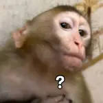 8667zc2hrhh.jpeg 8667zc2hrhh.jpeg