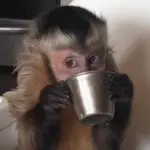 qt3859vjkma.jpeg qt3859vjkma.jpeg