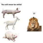 xfop8tk8mqo.jpg xfop8tk8mqo.jpg