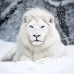 majestic-white-lion-stockcake.jpg majestic-white-lion-stockcake.jpg