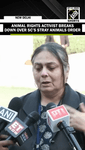 Animal rights activist upset on Supreme court’s order on removal of stray anim.mp4 Animal rights activist upset on Supreme court’s order on removal of stray anim.mp4