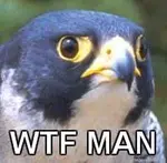 03726218.jpg 03726218.jpg