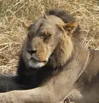 gnpak9yk7sn.jpeg gnpak9yk7sn.jpeg