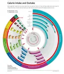 Calorie_Intake_&_Outtake.jpg Calorie_Intake_&_Outtake.jpg