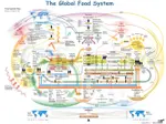 Global_Food_System.jpg Global_Food_System.jpg