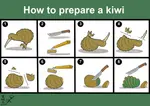 Kiwi.jpg Kiwi.jpg