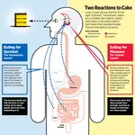 Reactions_to_Food.gif Reactions_to_Food.gif