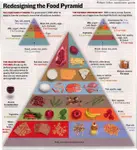 Redesigned_Food_Pyramid.jpg Redesigned_Food_Pyramid.jpg