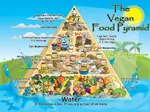 Vegan_Food_Pyramid.jpg Vegan_Food_Pyramid.jpg