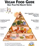 vegan_food_guide.jpg vegan_food_guide.jpg