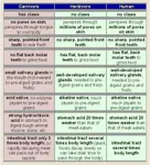 1354754186470.jpg 1354754186470.jpg